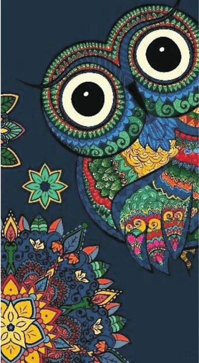 Boho Paisley Folk Art Mandala Owl