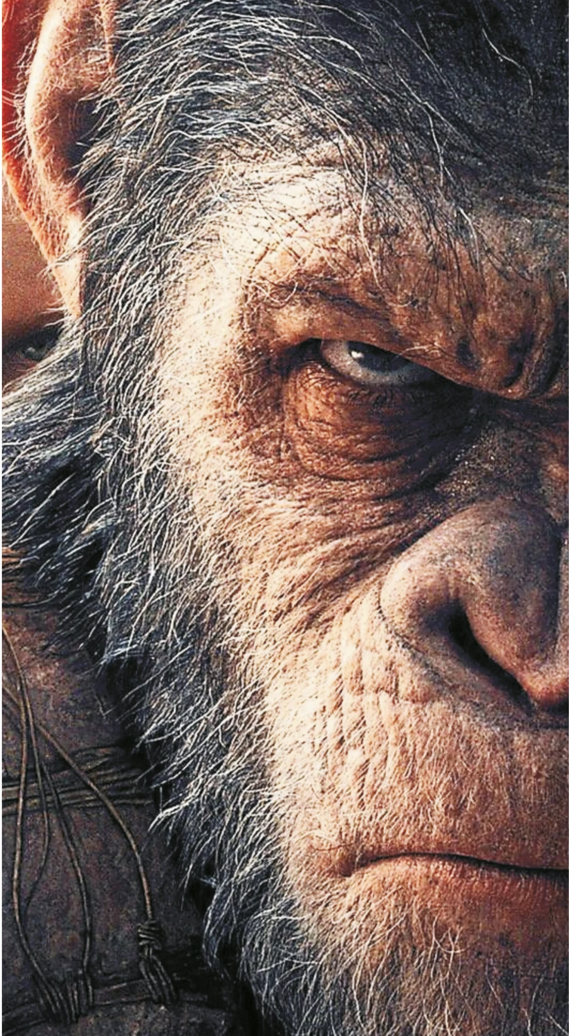 Caesar Planet of the Apes Intense Portrait