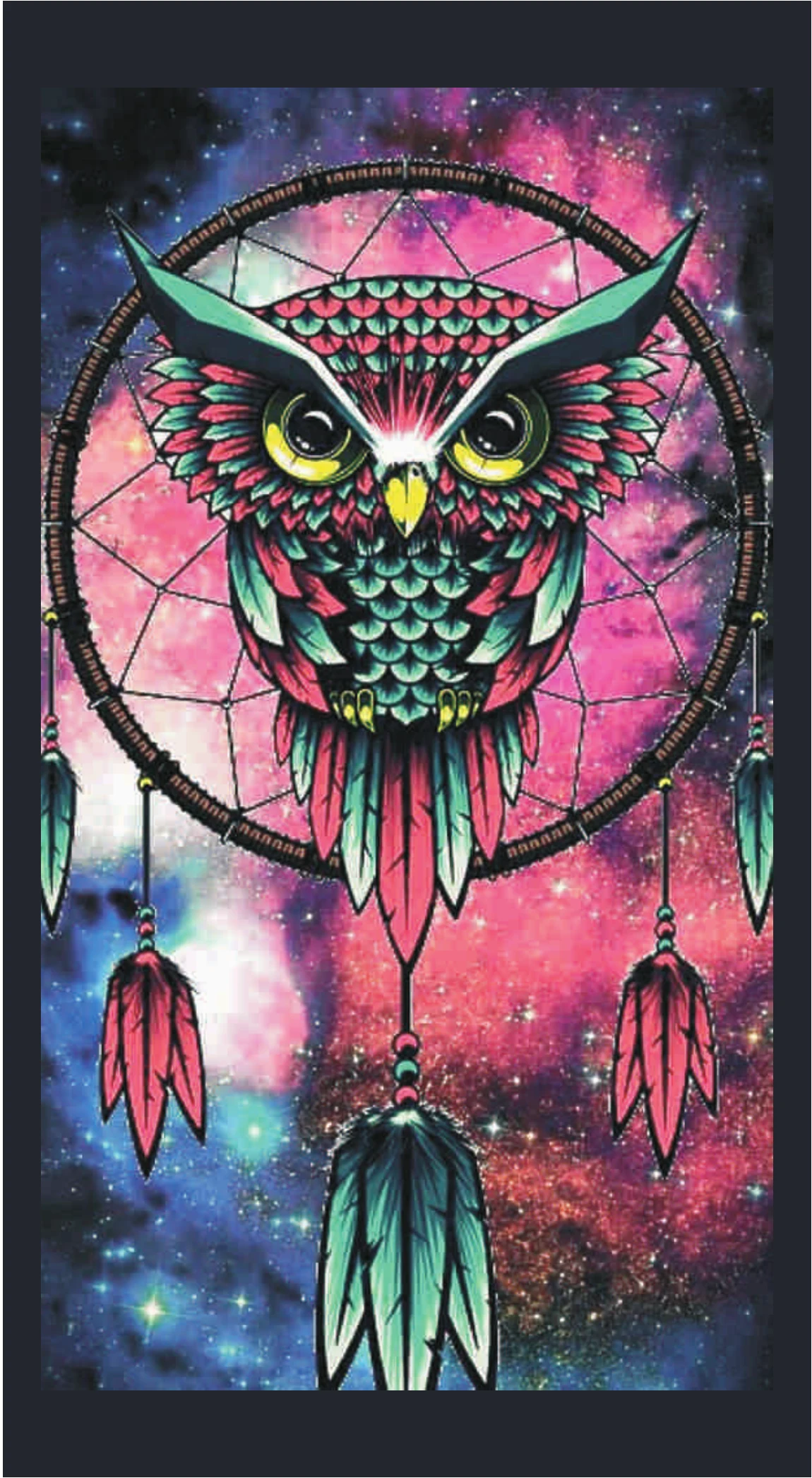 Cosmic Galaxy Dreamcatcher Owl Nebula