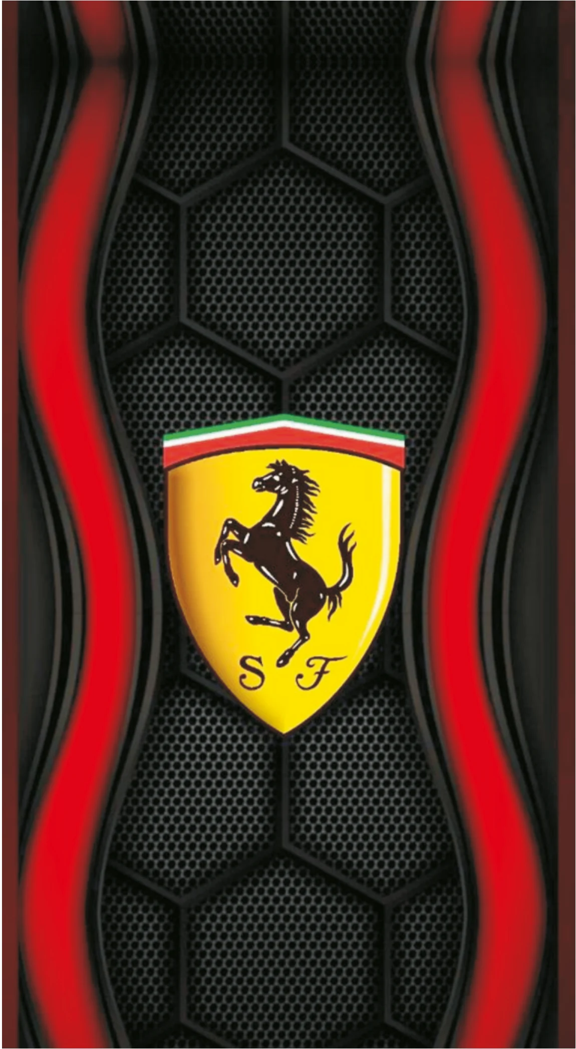 Ferrari Scuderia Honeycomb Carbon Shield