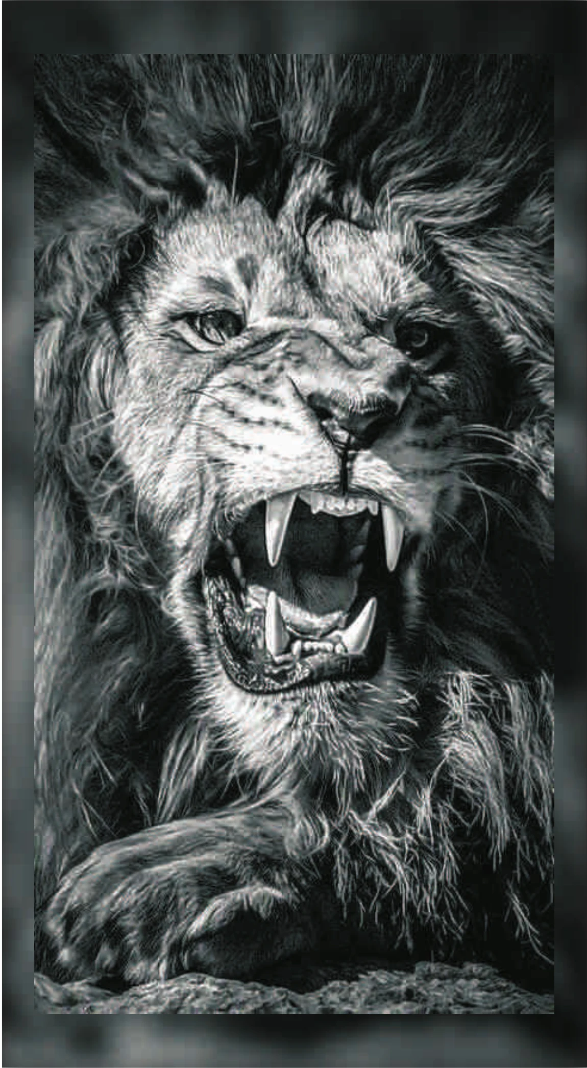 Monochrome Roaring Lion Fur B&W High-Detail